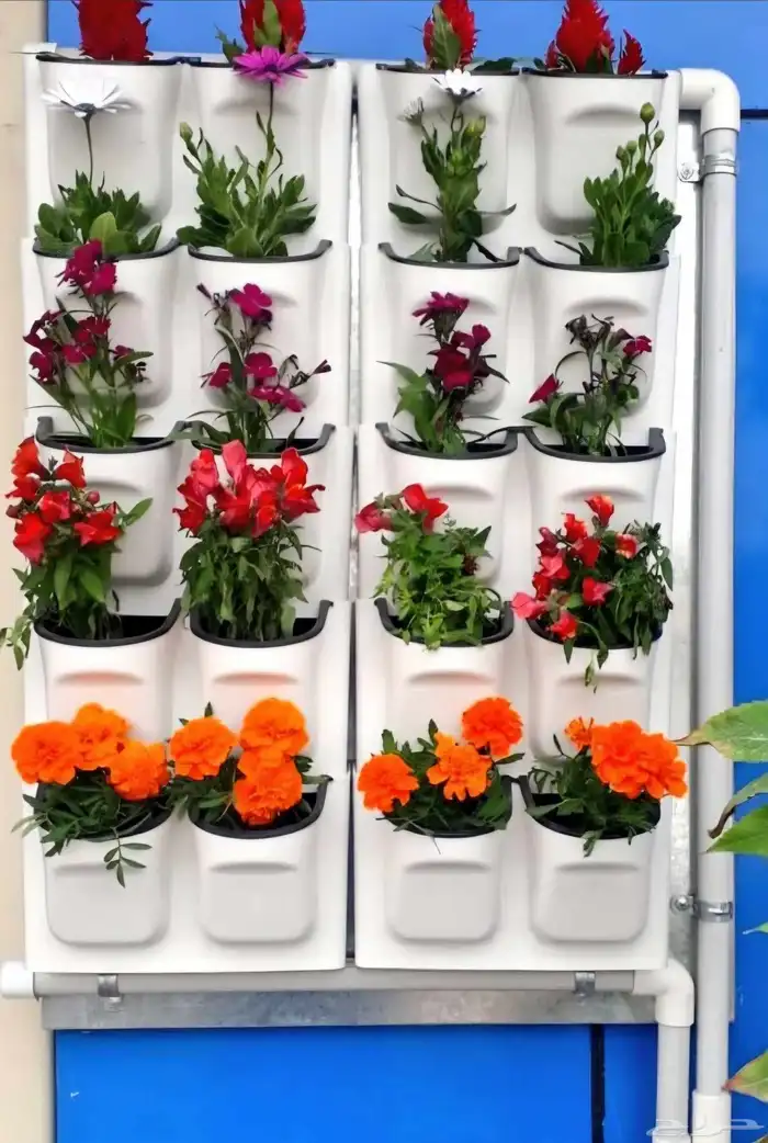 احواض زراعه 2