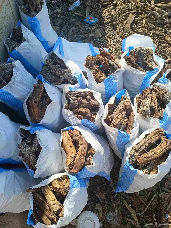 خياش للبيع 0