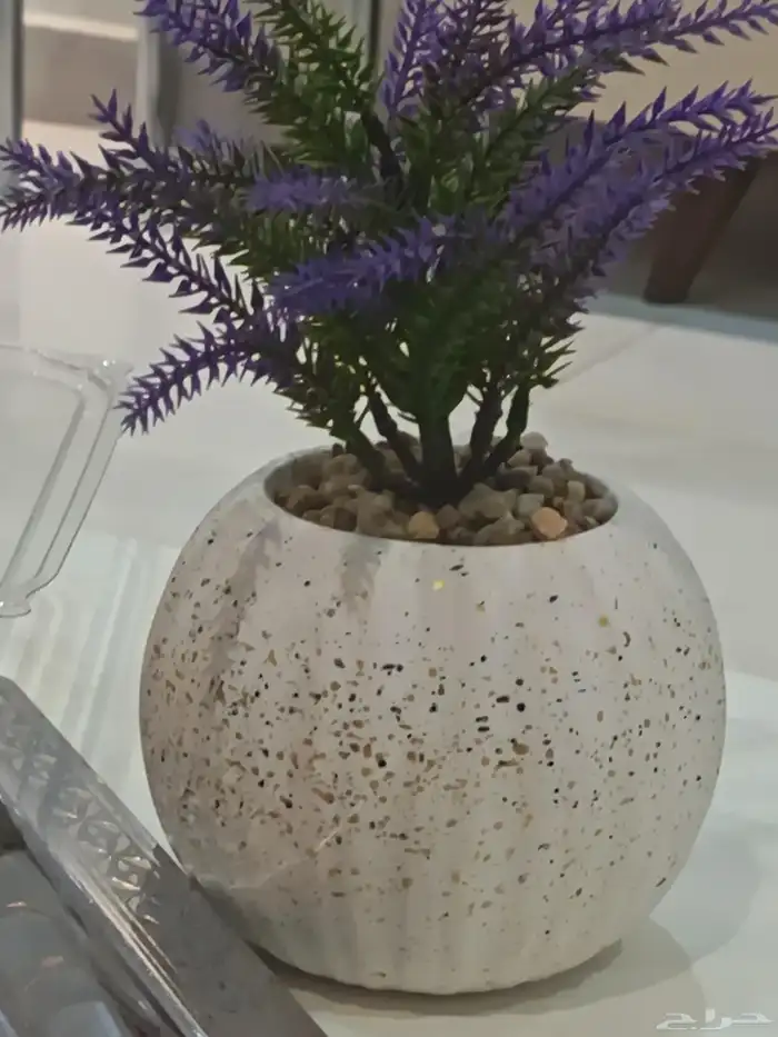 مطلوب سياره اقساط مع وجود دفعه 0