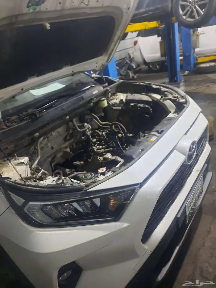 راف فور 2016 1