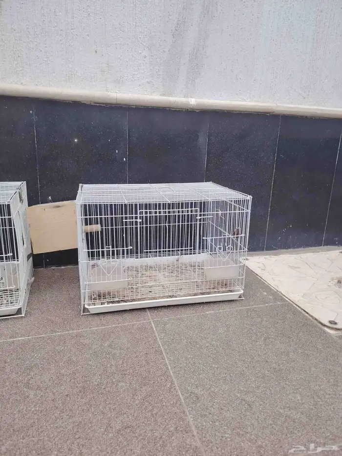 قفصين حجم 600 1