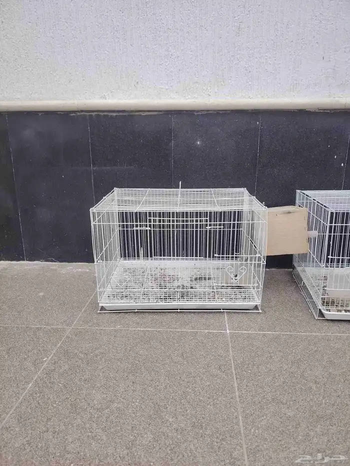 قفصين حجم 600 0