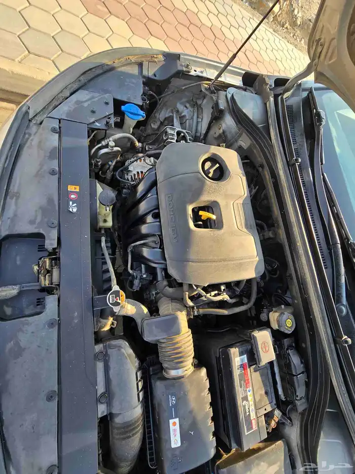 النتراء 2020 استاندر 7