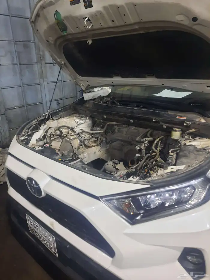 راف فور 2016 0