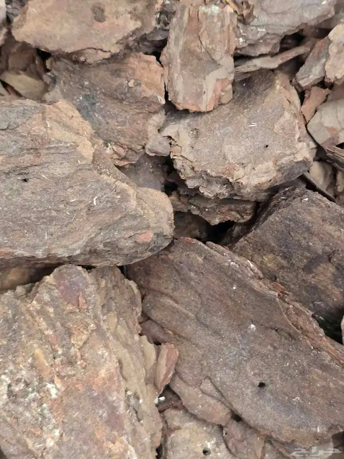 خشب ديكور خشور 50ليتر.سعر60 1