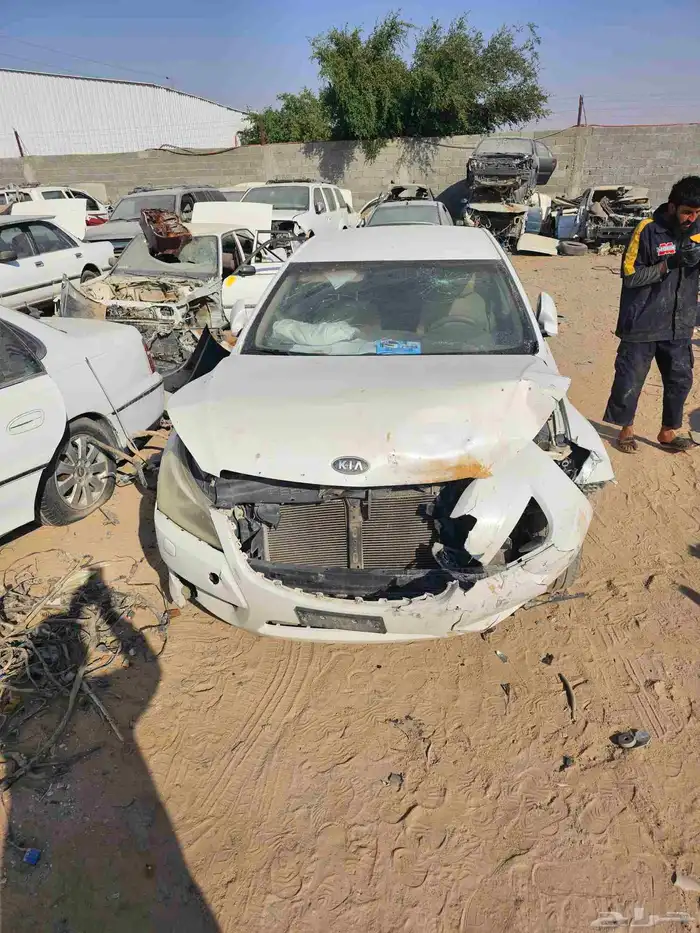 كيا كدنزا 2013 1