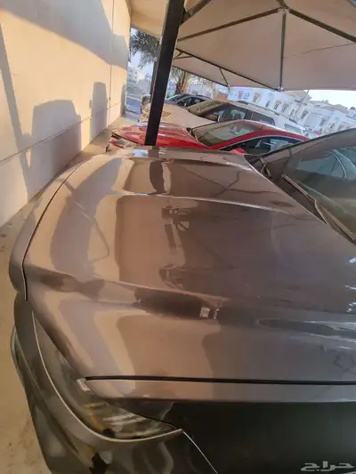 جيلي ازكارا index