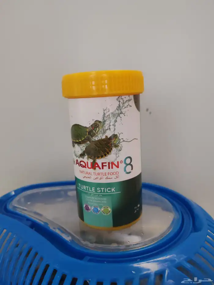 سلحفاء السعر 150 قابل للنقصان مع كامل احتياجاتها بيت طعام 1