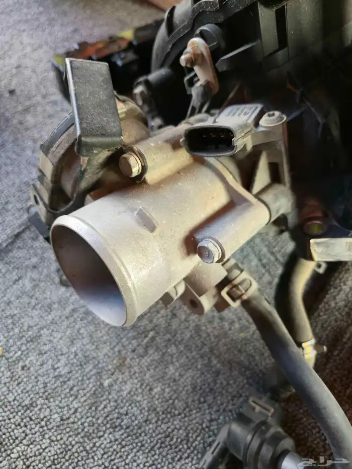 بوابة اكسنت 2017 0