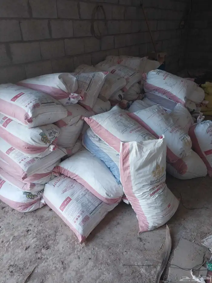 تمر حوالي 140كيس موقع درعيه 2