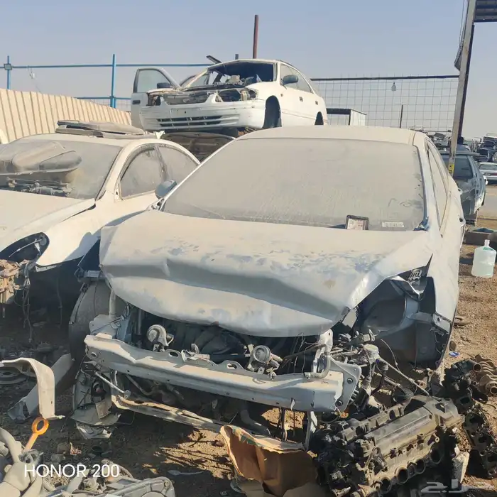 موجود مكاين وقيور شيري 2