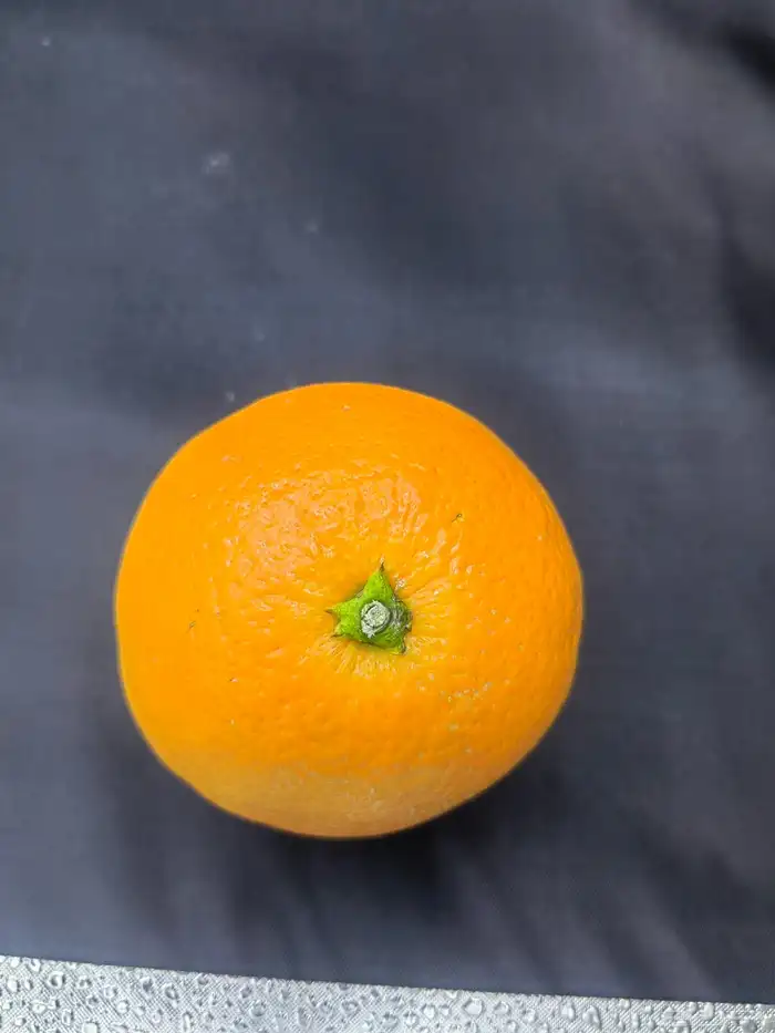 صندوق للتصوير الاحترافي (بوكس التصوير الاحترافي) 4