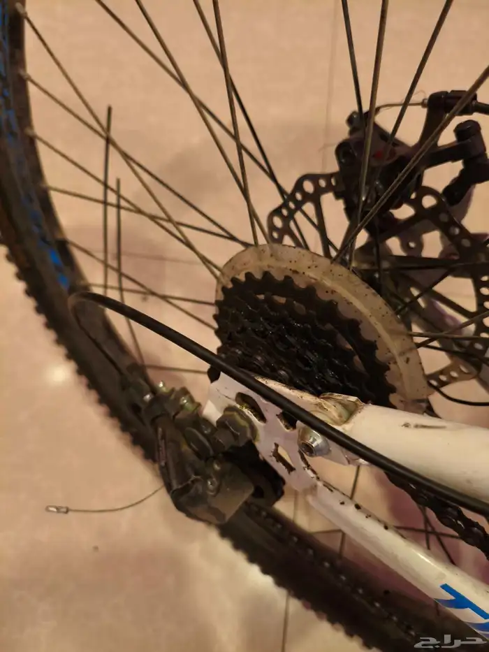 سيكل رياضي 2