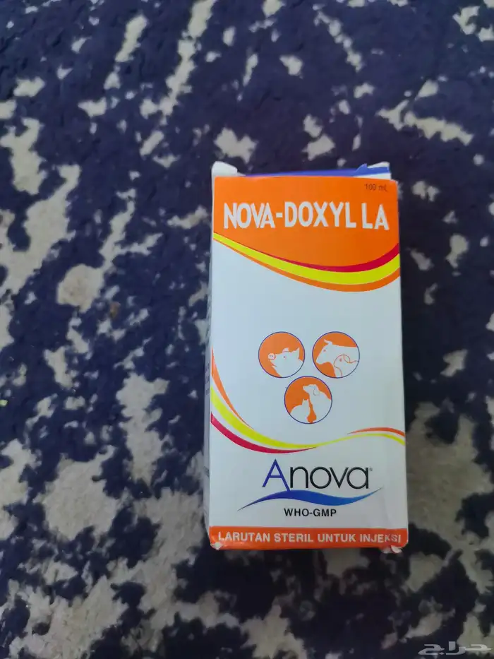 وصول دفعه من ابراة الرياسه الكميه محدوده الحبه 300 ريال 0