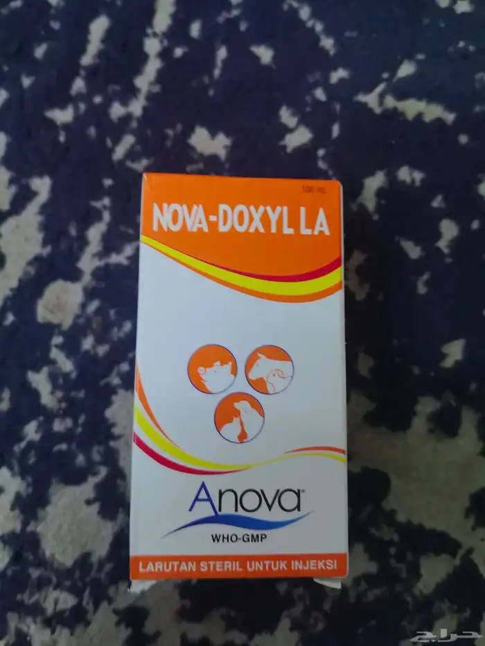 وصول دفعه من ابراة الرياسه الكميه محدوده الحبه 300 ريال 2