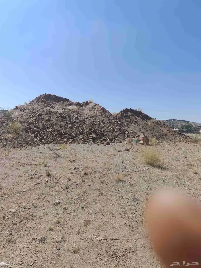 دفنيه كفو تقريبا 50رد 1