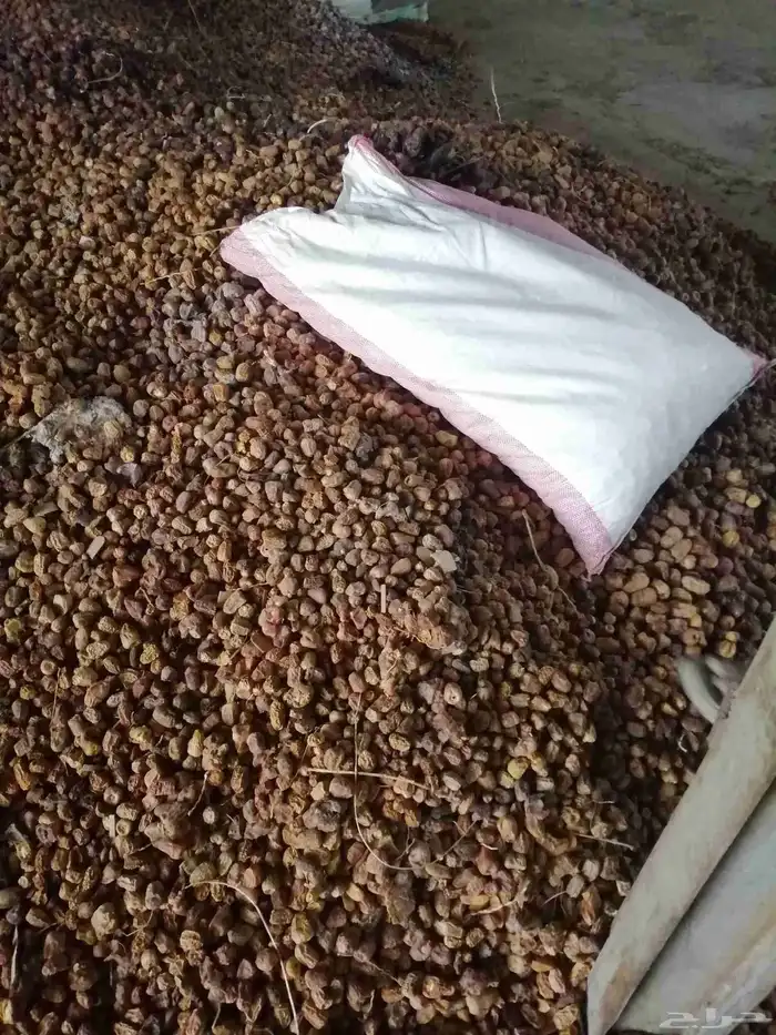 تمر علف للحلال ناشف أكياس مليانه ماشاء الله تبارك 3