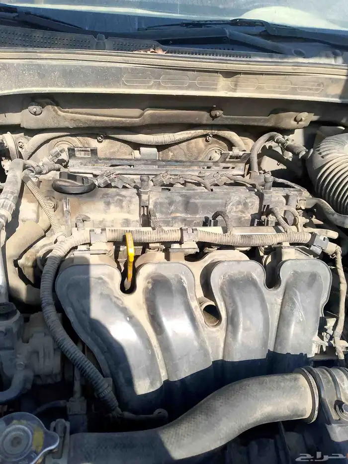 مكائن كيا كرنفال 0