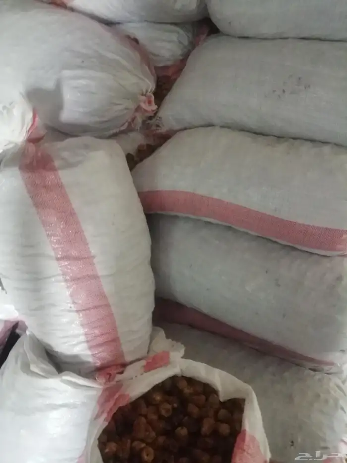 تمر علف للحلال ناشف أكياس مليانه ماشاء الله تبارك 6