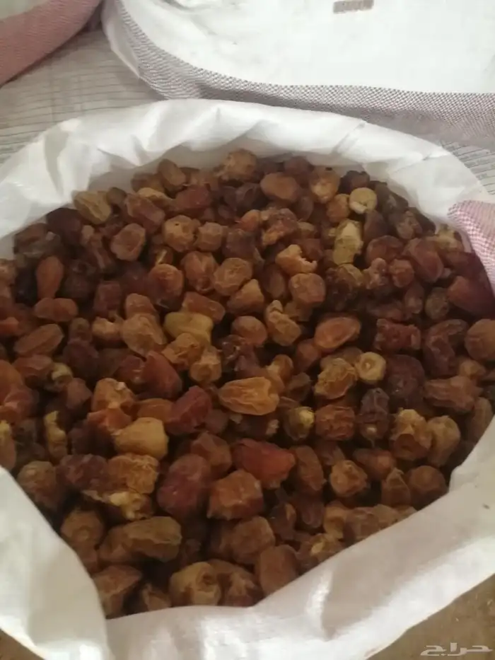 تمر علف للحلال ناشف أكياس مليانه ماشاء الله تبارك 0