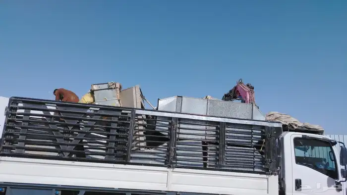 دينا نقل وتوصيل داخل وخارج جده 2