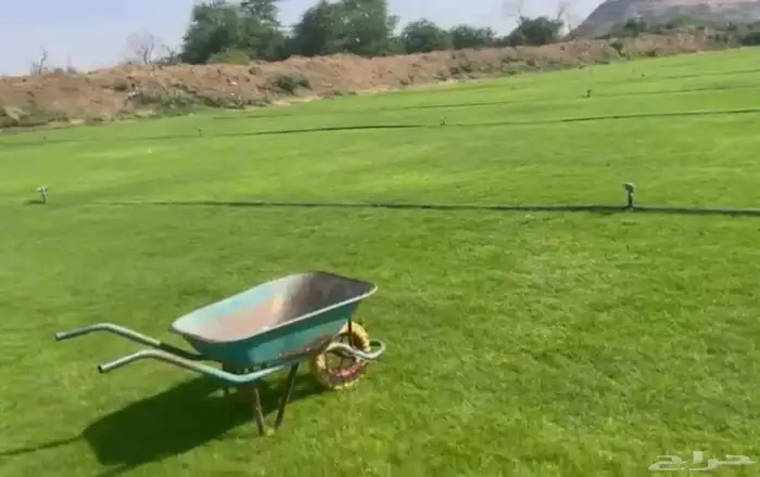 نجيل طبيعي 4