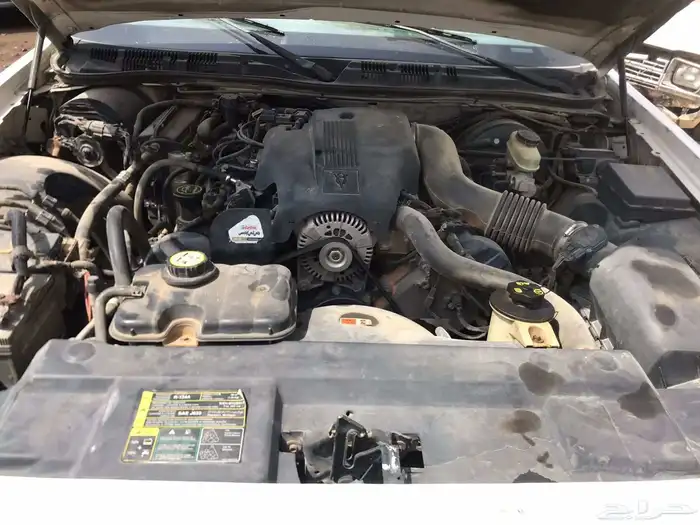 مكاين فورد فكتوريا ماركيز وغيور ودفرنسات سيارت حكوميه ومدنيه 8