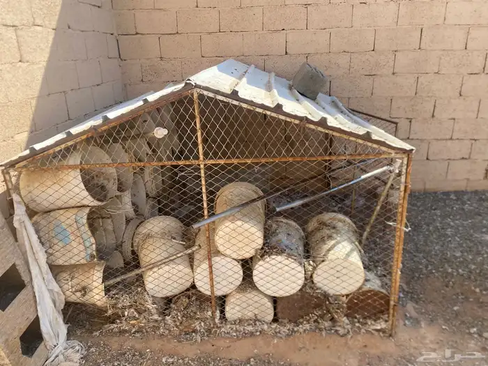 للبيع شبك مع صطول مقاس مترين في مترين 3