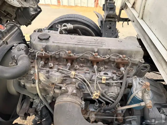 دينه ايسوزو 2008 10