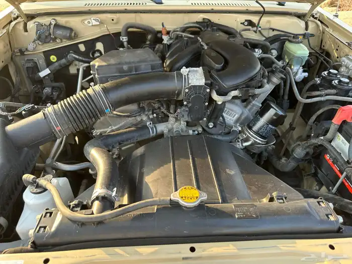 شاص كفو منوة المستخدم 15