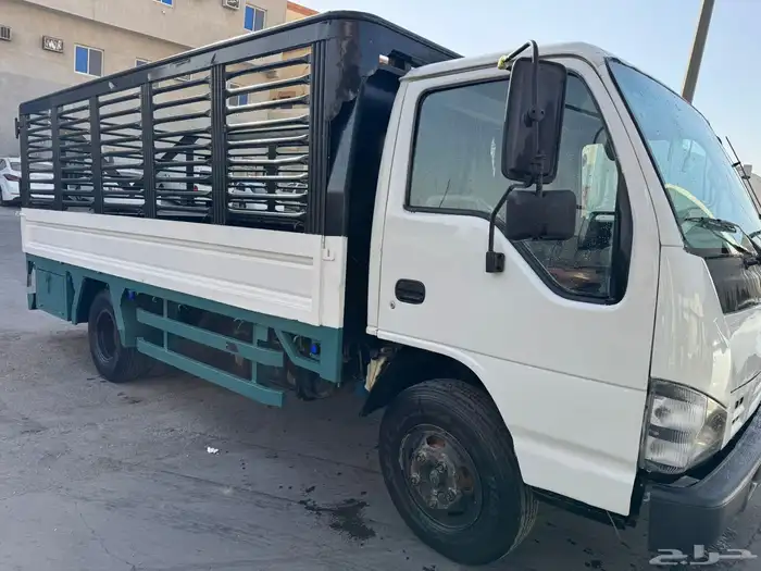 دينا ايسوزو 2007 0