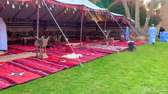 تاجير صقور تاجير خيام تامين الحرفيين وكافة مستلزمات الايفنت 11