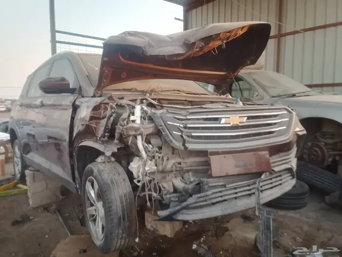 كابتيفيا 2021 1