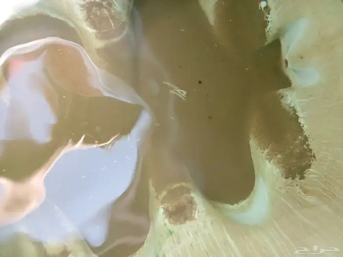 غسيل خزان عزل خزانات المويه تنظيف خزانات غسيل خزانات بجده 3