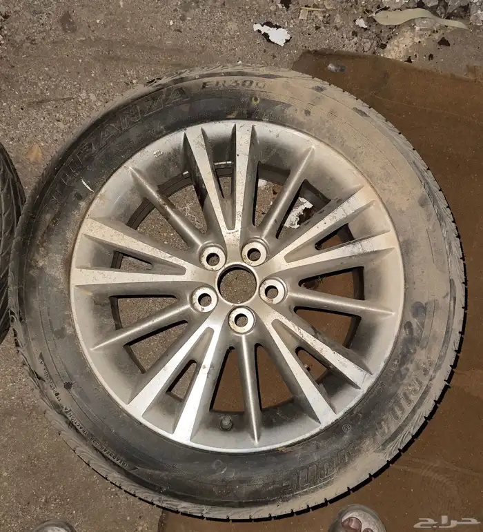 استبنة كوريلا 2015 بلد 0