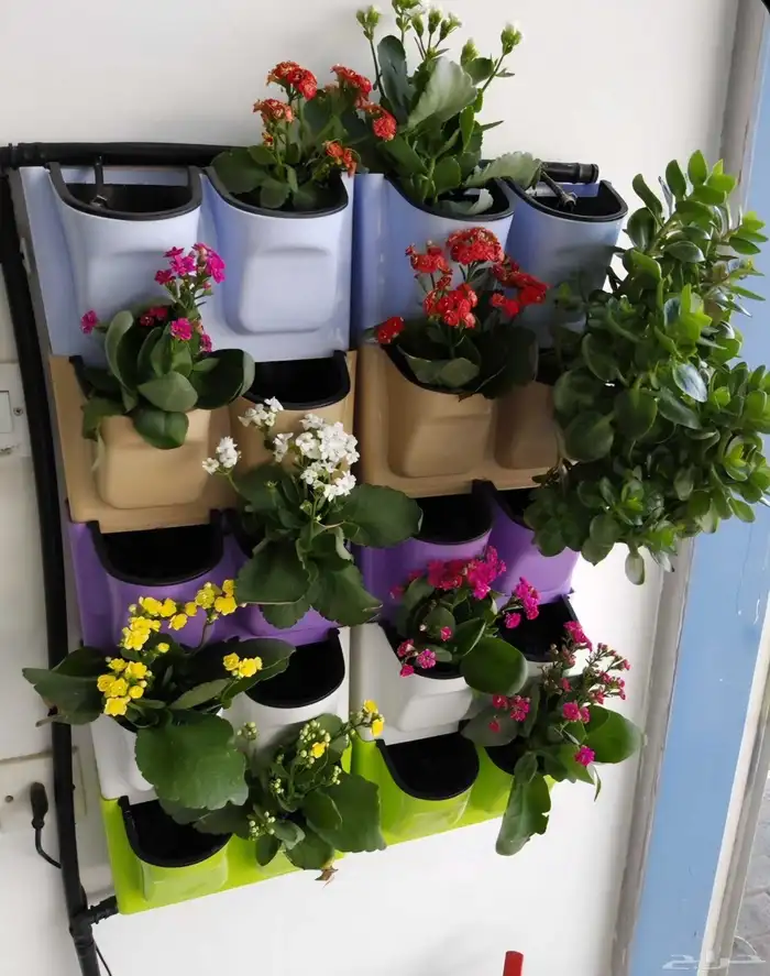 احواض زراعه 1