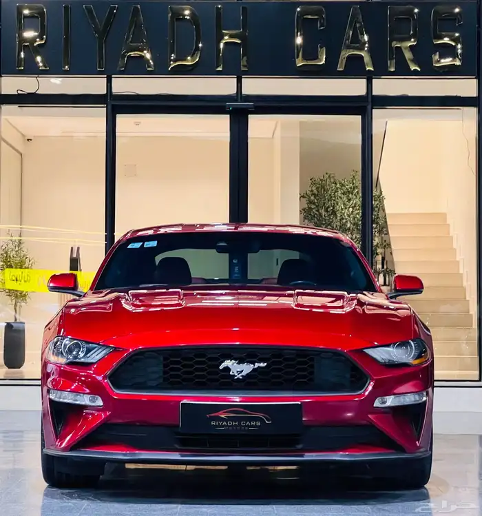 موستنج 2019 بيرفورمنس (بحاله ممتازه) 2