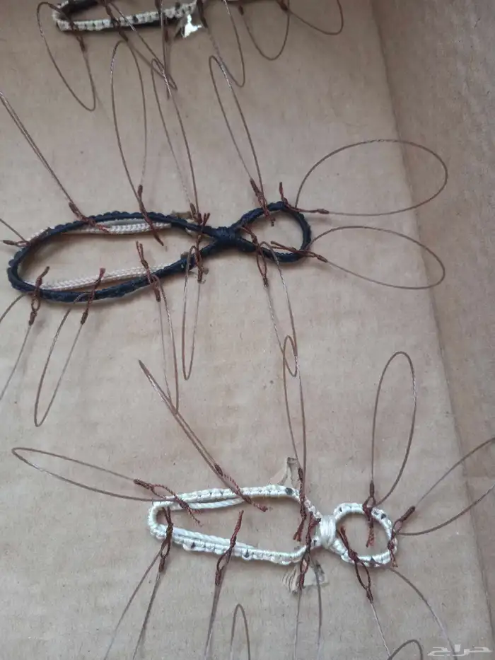 شبك لصيد الصقور 3