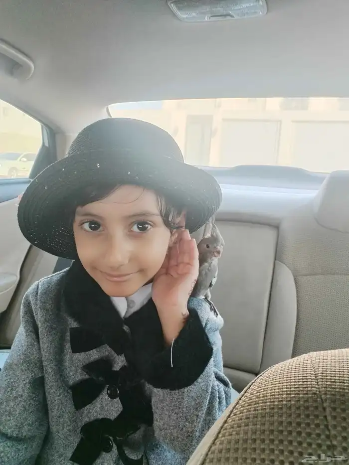 كروان اليف بداية فطم 4