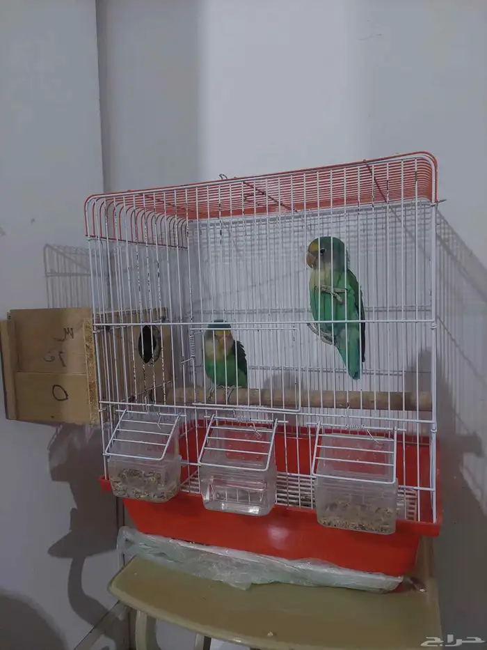 زوج فيشر منتج 0