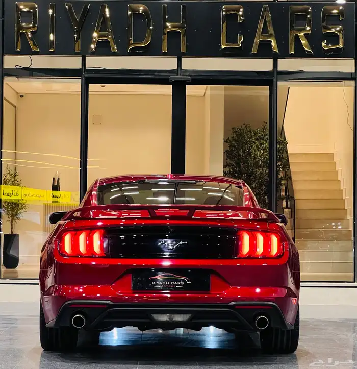 موستنج 2019 بيرفورمنس (بحاله ممتازه) 5