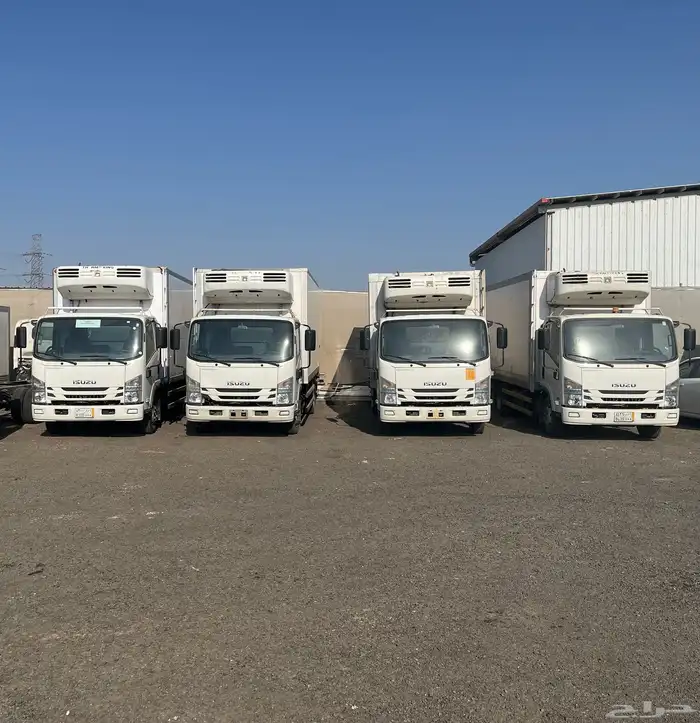 المدينة المنورة 1