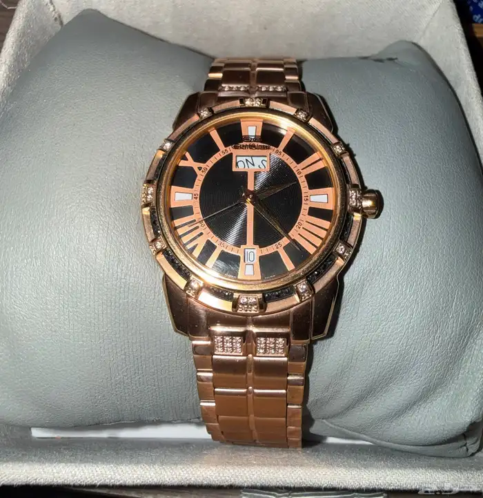 ساعة سويسريه 0