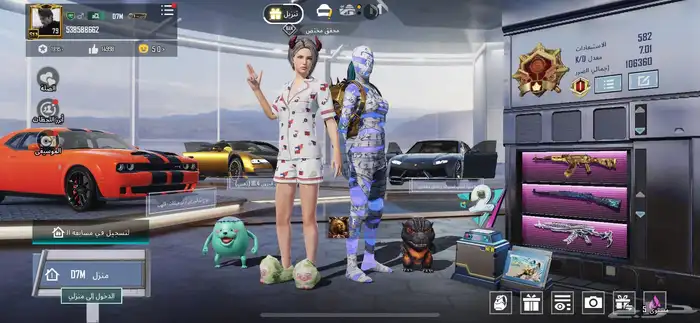 حساب ببجي للبيع 2