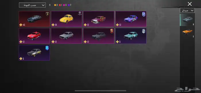 حساب ببجي للبيع 5