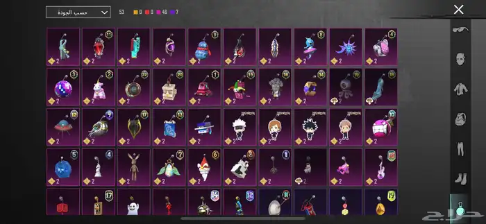 حساب ببجي للبيع 19