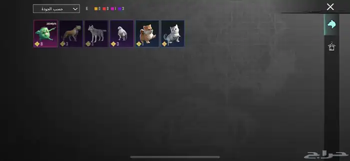 حساب ببجي للبيع 9