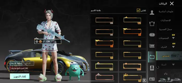 حساب ببجي للبيع 3