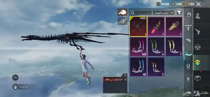 حساب ببجي للبيع 29