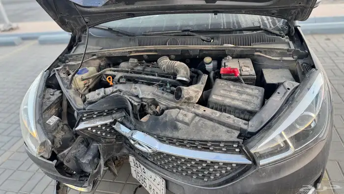 شيري اريزو 5 مصدوم 13